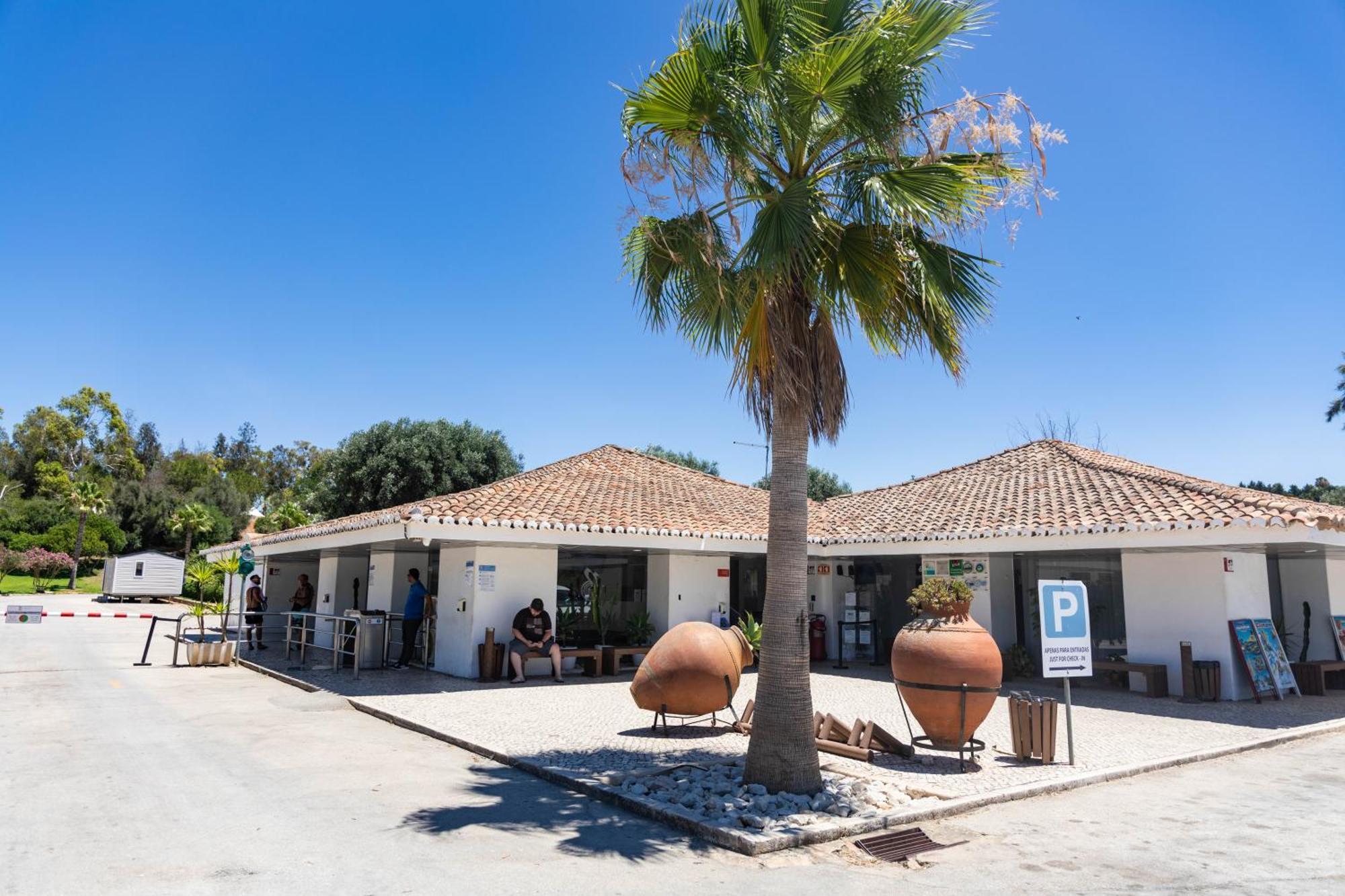 Holacamp Αλμπουφέιρα Εξωτερικό φωτογραφία